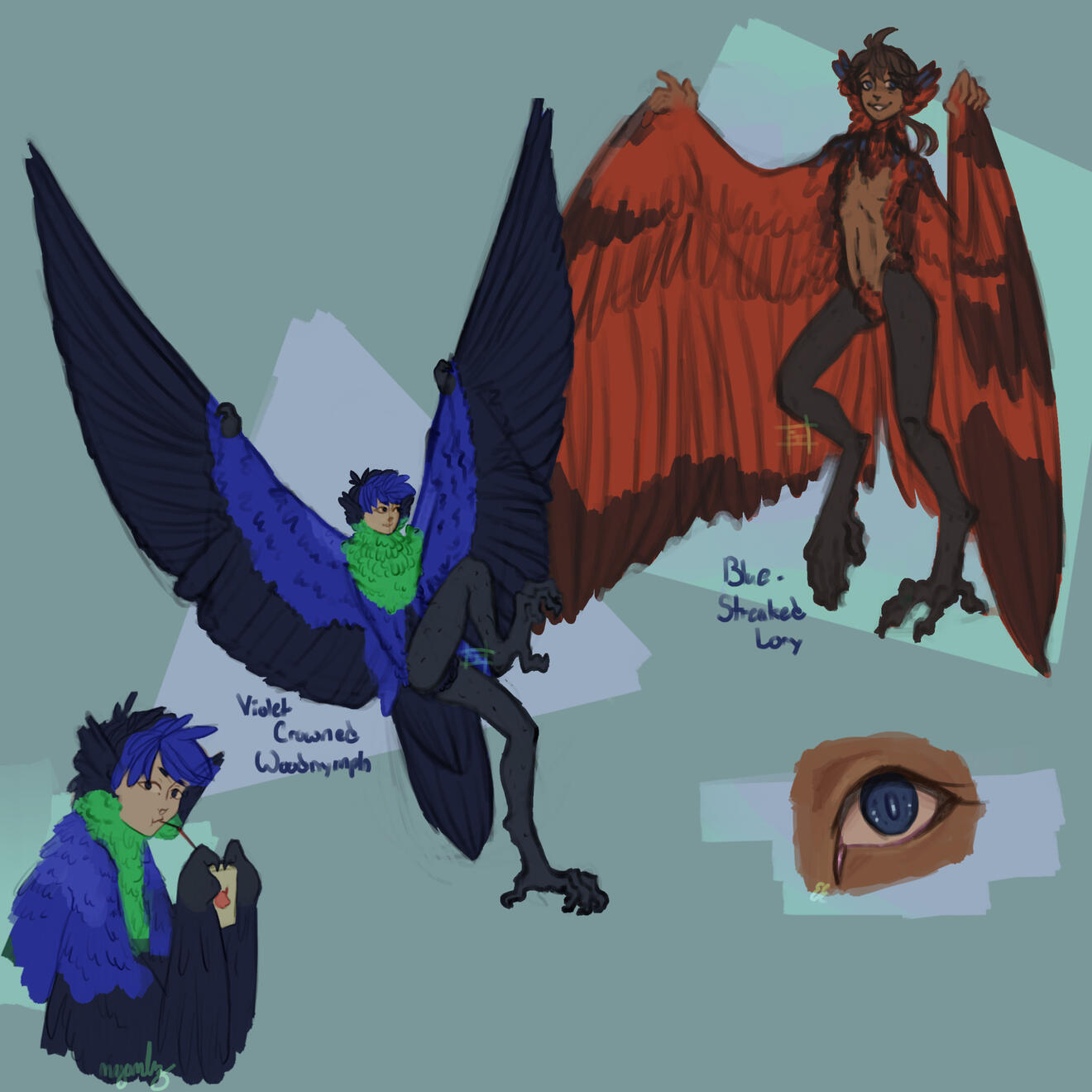 Character Design Sheet - Bird Boys