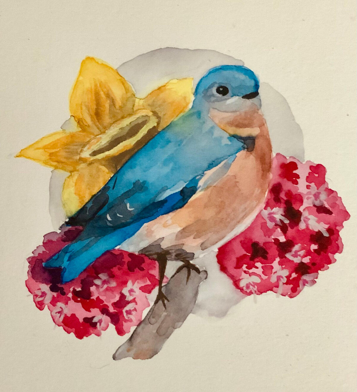 Watercolor Set - Feathers of Honesty