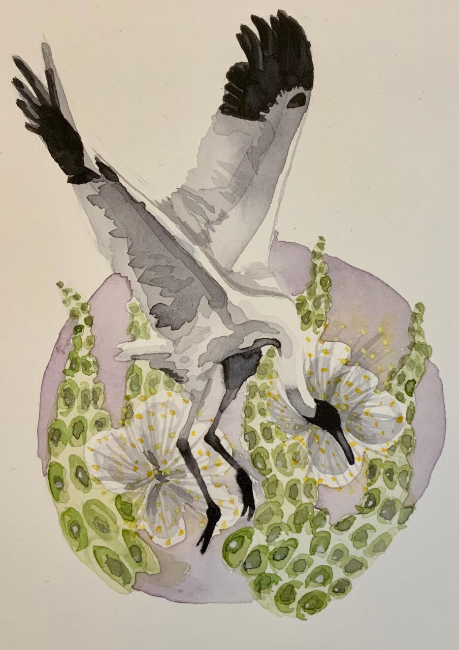 Watercolor Set - Feathers of Peace