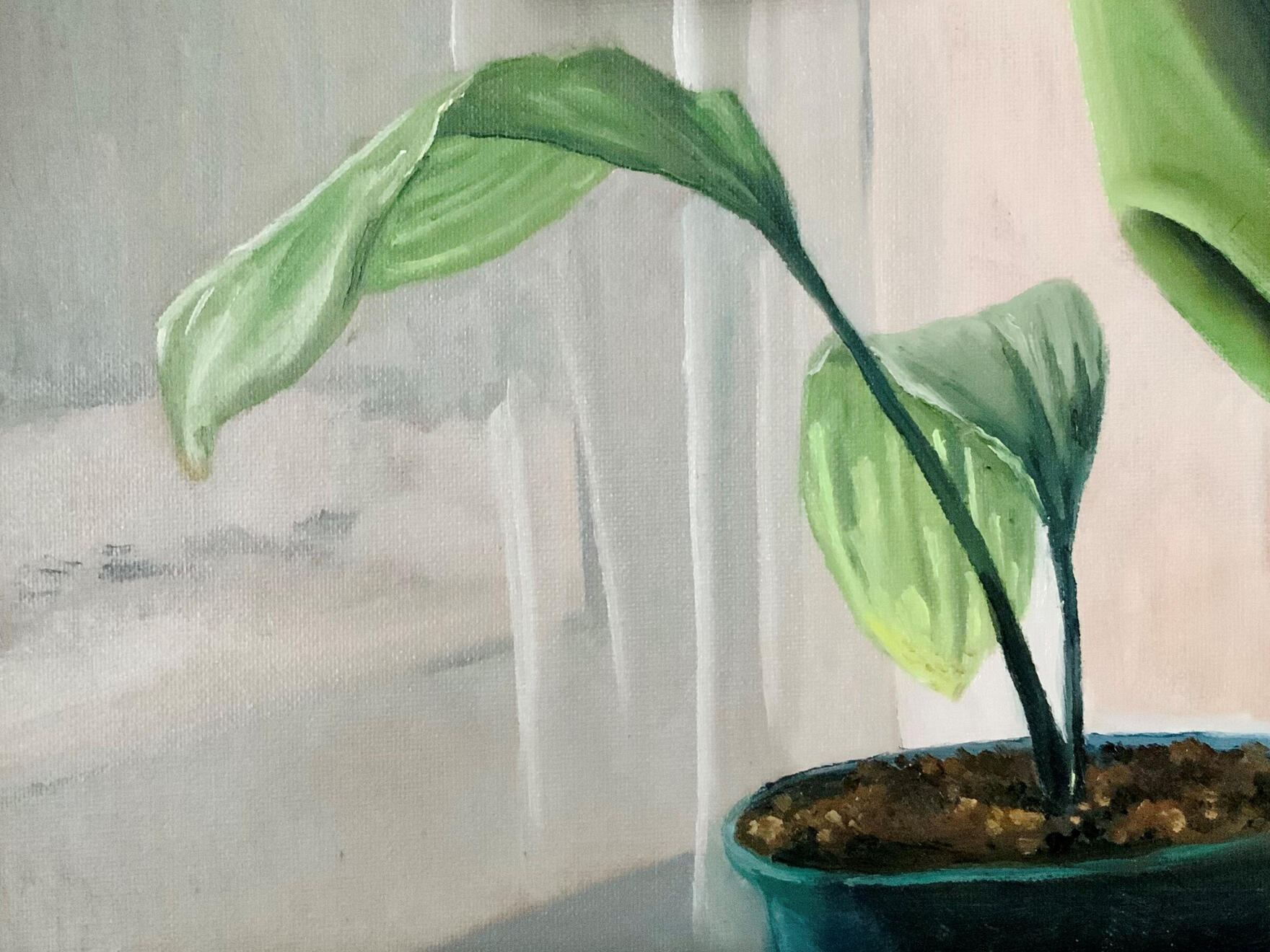 Oil Painting 1 - Still Life