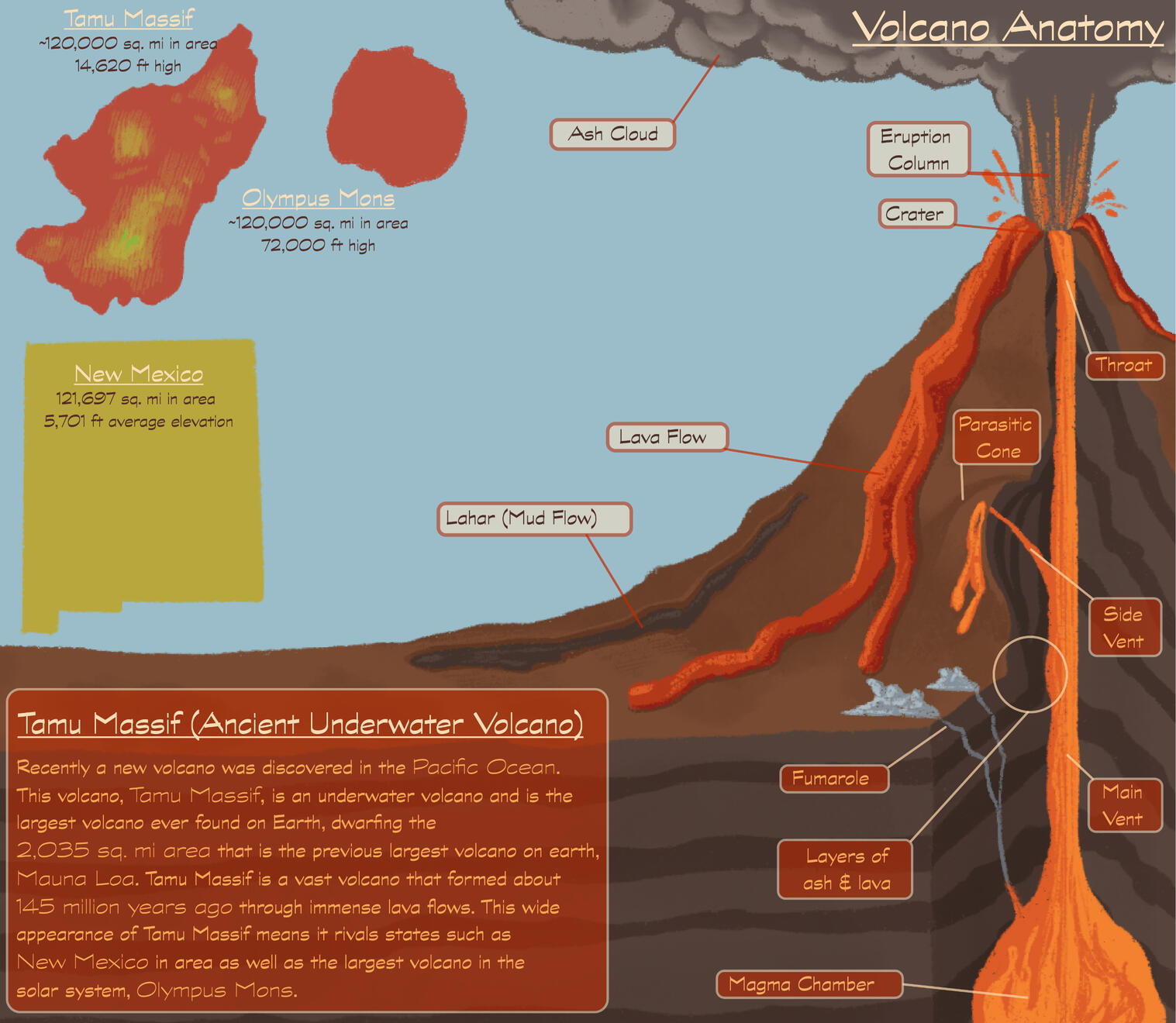 Infographic 1